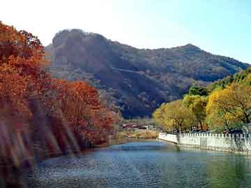 澳门期期准免费精准，四川日报广告部电话